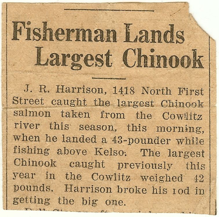 big fish article