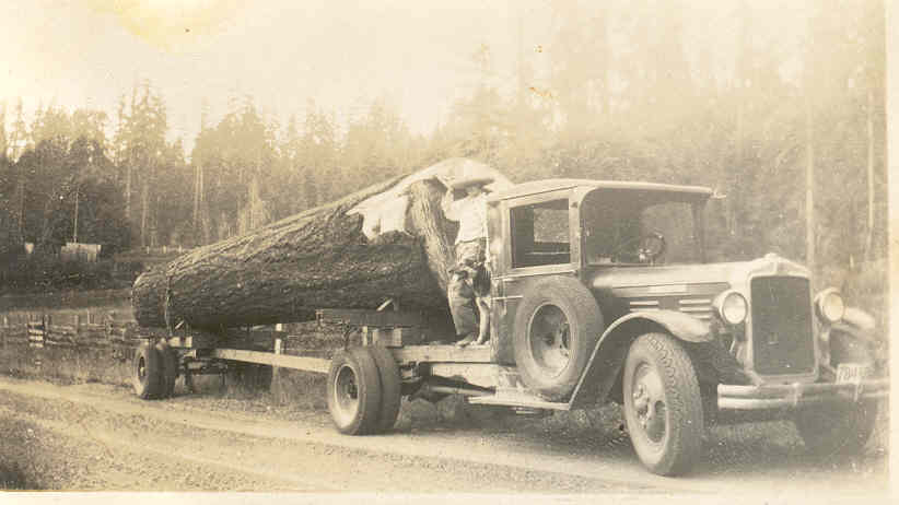 Logging Truck