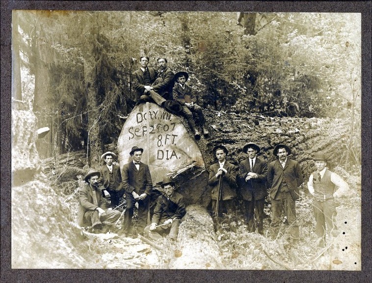 loggers in Doty, WA