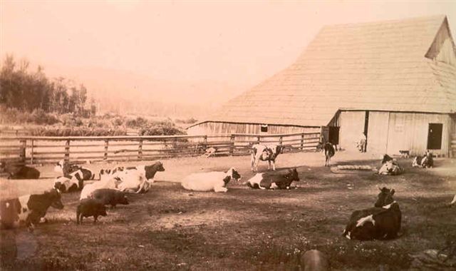 Moorcroft Farm