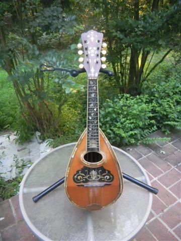 mandolin